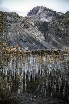 Afghan-North-005