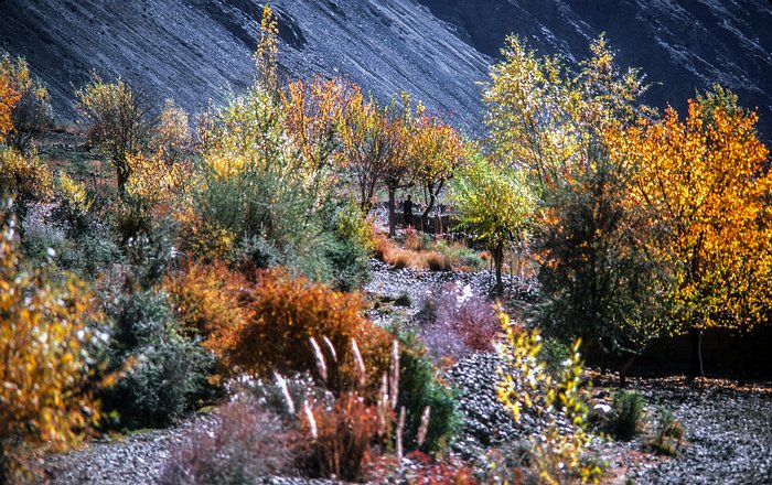 Chitral-North-012