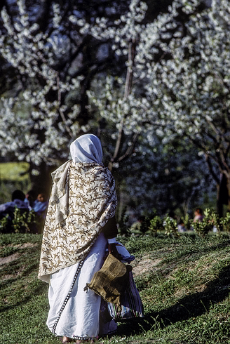 Kash-Vale-Srinagar-Garden-020