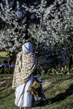 Kash-Vale-Srinagar-Garden-020