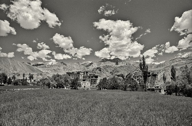 Lad-Alchi0016 Ladakh. Alchi