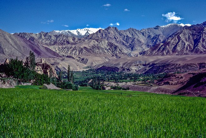 Lad-Alchi0020 Ladakh, Alchi