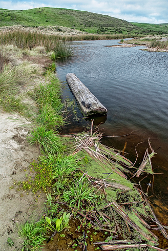 Kehoe_018