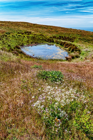 PierceRanch_011