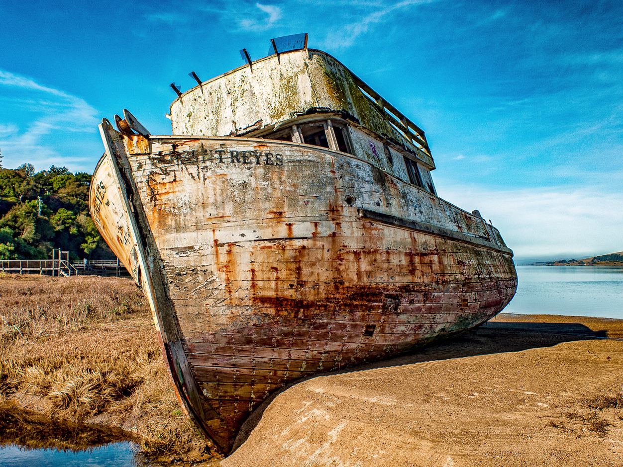 Point Reyes 1973-2023