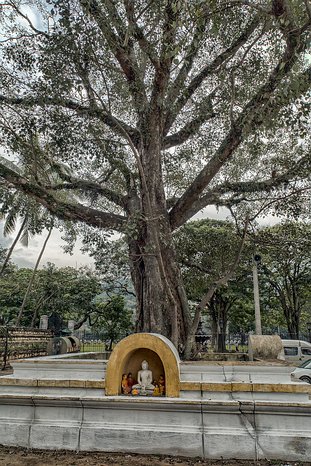 SL_Kandy_temple_007