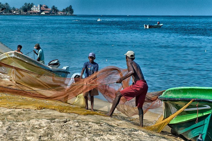 SL_Negombo_fish_009