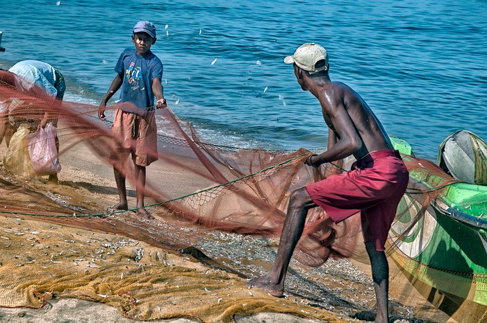 SL_Negombo_fish_010