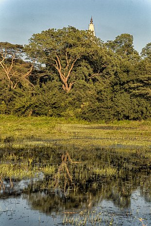 SL_Triangle_Anuradhapura_008