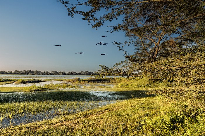 SL_Triangle_Anuradhapura_014