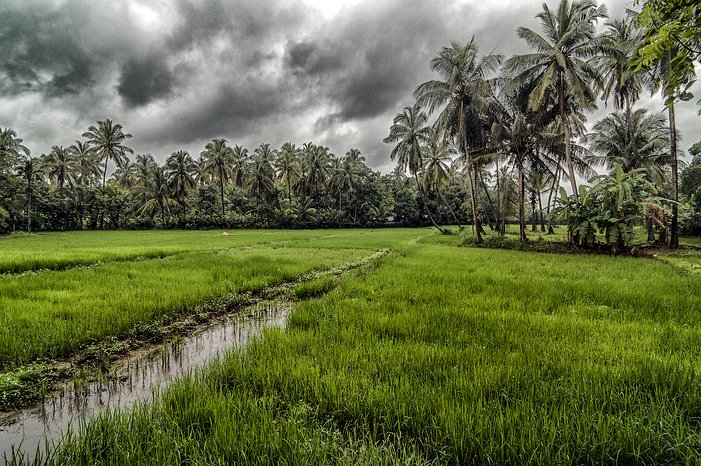 SL_Triangle_Polonnaruwa_005