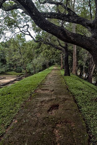 SL_Triangle_Sigiriya_002