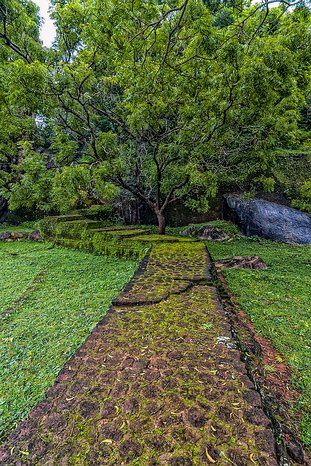 SL_Triangle_Sigiriya_018