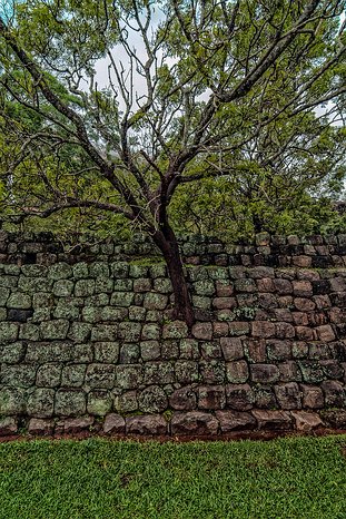 SL_Triangle_Sigiriya_019