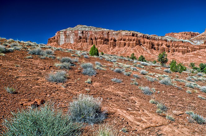 Capitol_Reef-13