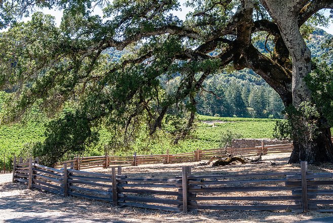 West-Bay-Marin-08