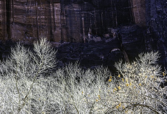 West-Desert-CanyondeChelly-07