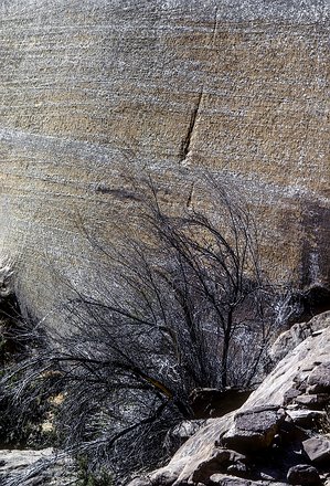 West-Desert-CanyondeChelly-17