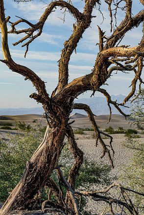 West-Desert-DeathValley-001