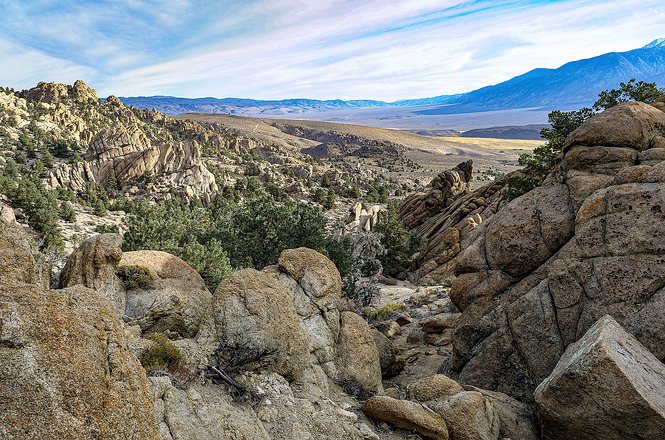 West-Desert-Mojave-007