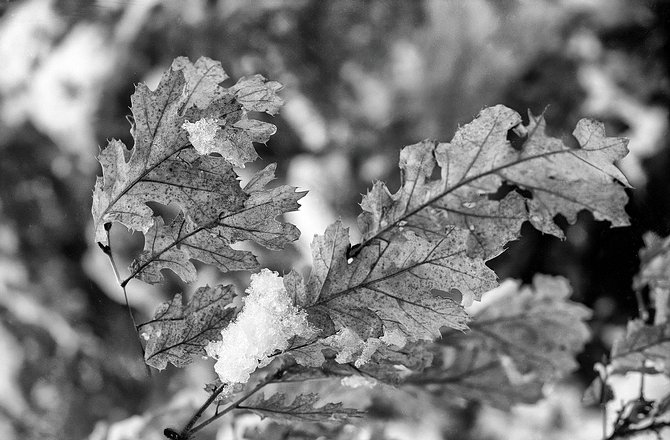 West-Mountains-BW-09