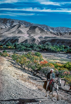 Lone Rider-Afghanistan