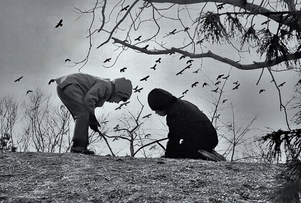 City Boys Exploring Nature-USA