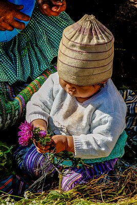 The Wonder of Flowers-Guatemala