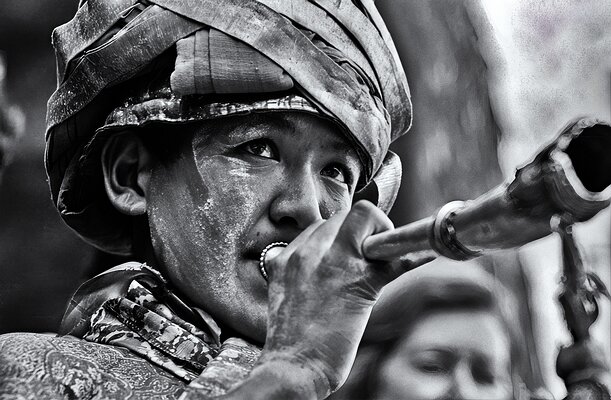 Hemis Horn-Ladakh Ladakh