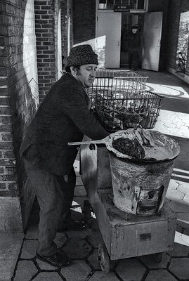 Selling Hot Chestnuts and Bagels-USA