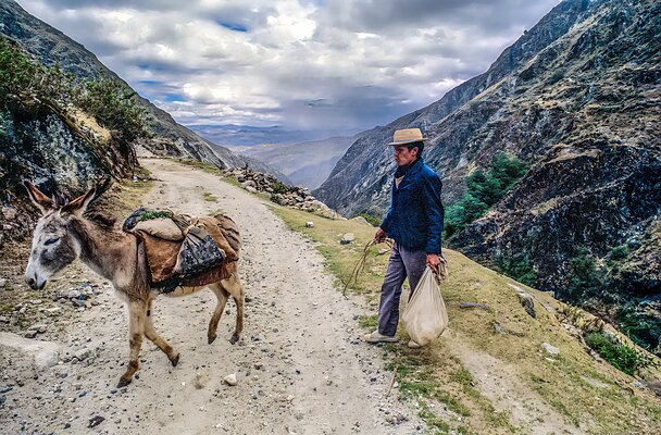 Fellow Travelers-Peru Peru