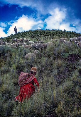 Andean Shephers and their Flock-Peru Peru