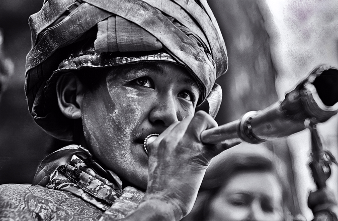 Hemis Horn-Ladakh Ladakh