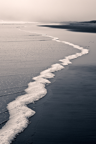 Low Tide-Point Reyes, California, USA