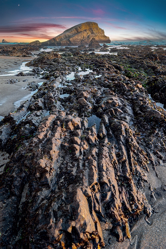 Tide Pools-Santa Cruz, California, USA