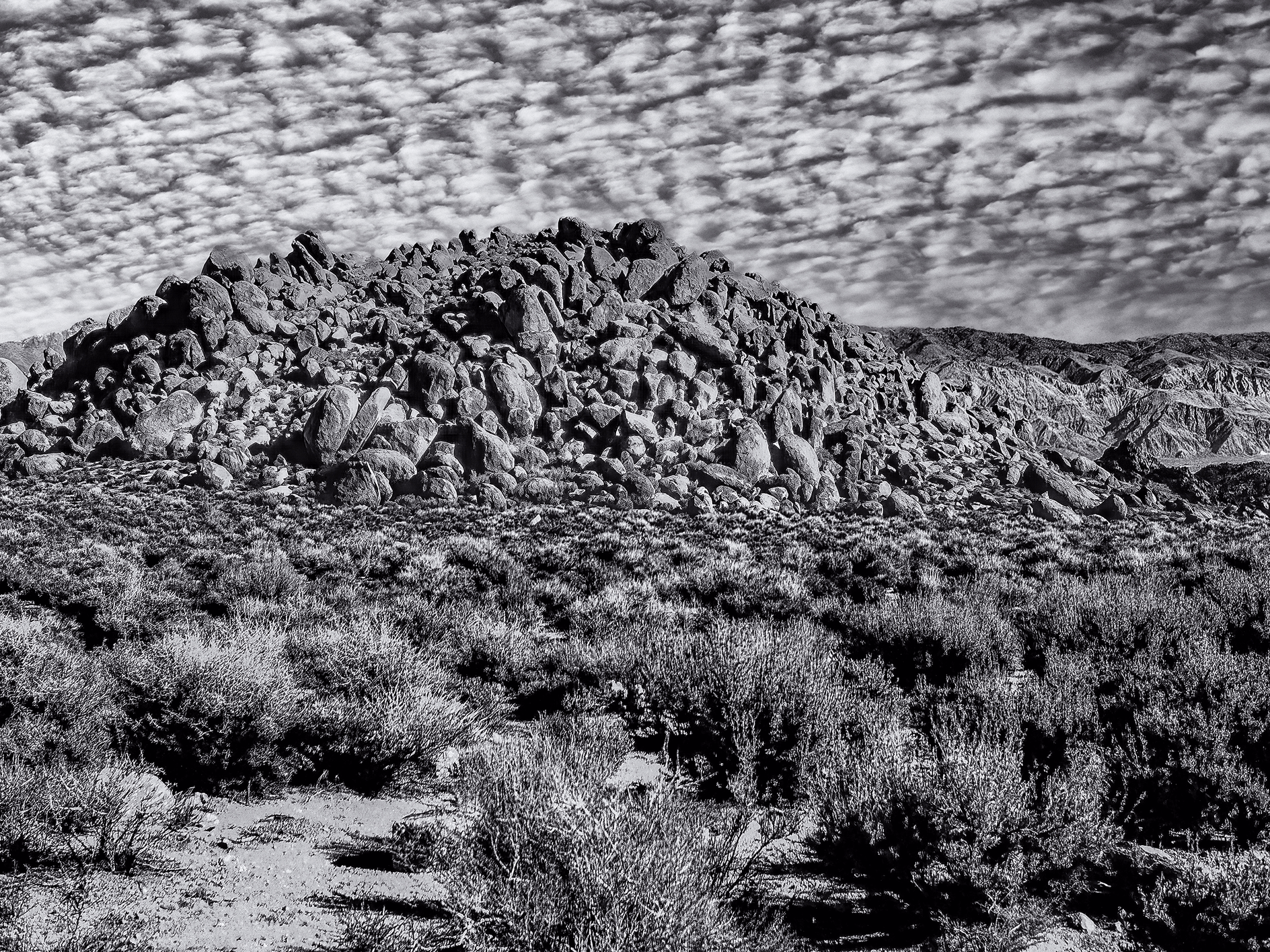 Desert BW