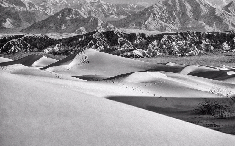 Tracks on the Dunes-Death Valley, California, USA