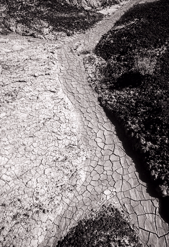 Arroyo Texture-Mojave, California, USA