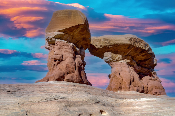 Rock Flowers in the Devil's Garden-Utah, USA