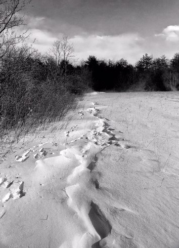 Snowy Day-Stockbridge, Massachusettes, USA