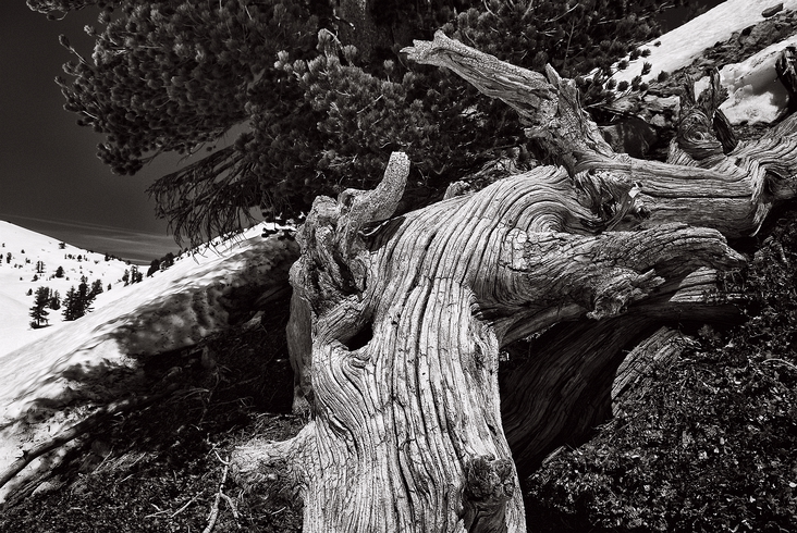 PLACE-Landscape-BW-019
